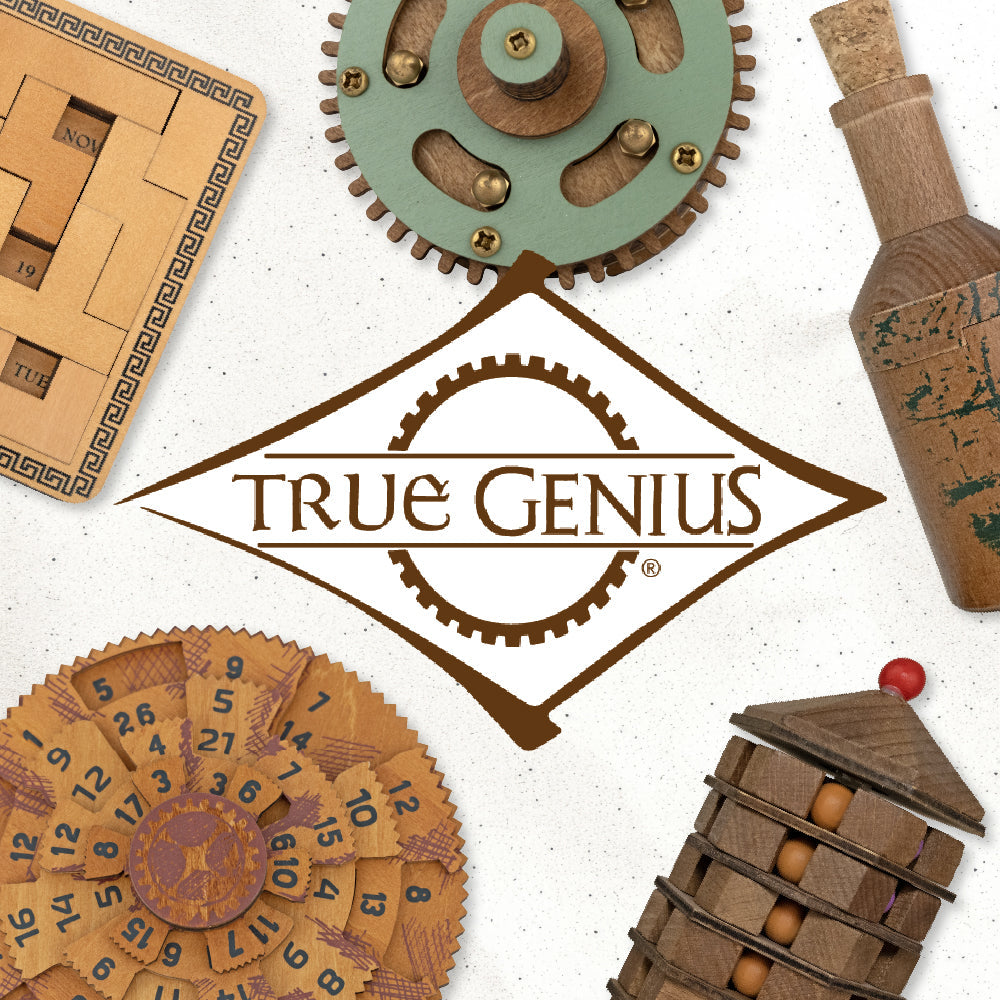 True Genius - Metal and Wood Brain Teaser Puzzles – Project Genius
