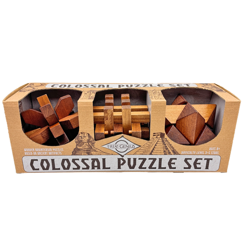 Colossal Puzzle Set – Project Genius