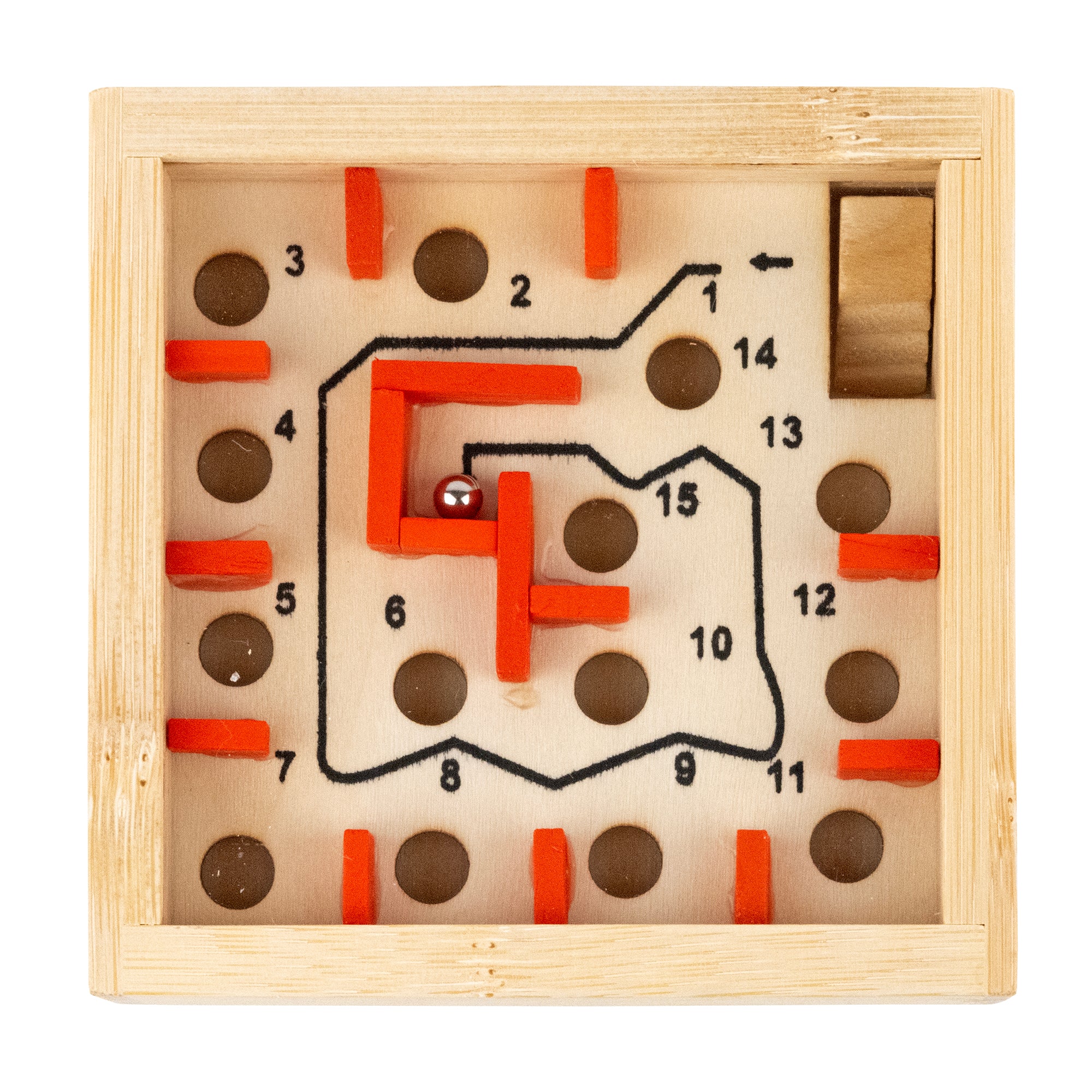 The Great Coral Maze Bamboo Puzzle | Project Genius