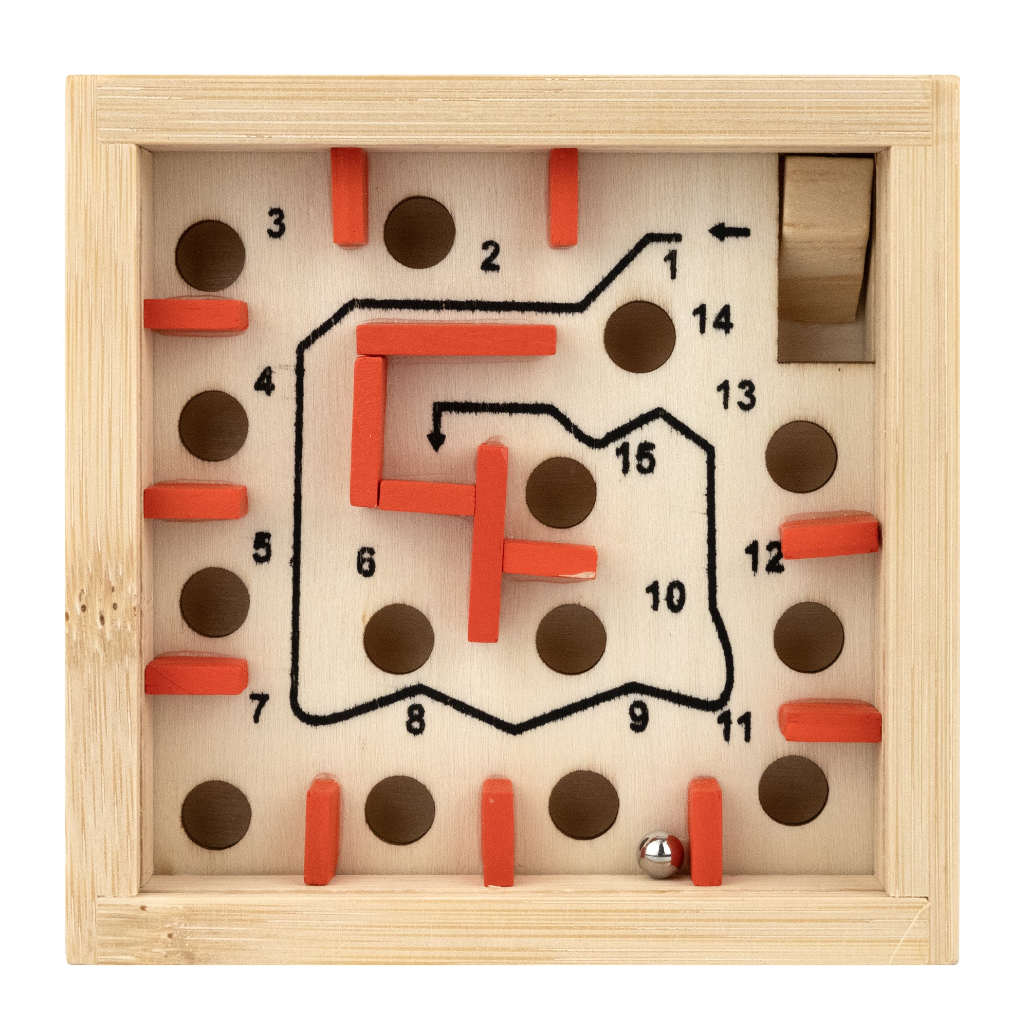 The Great Coral Maze Bamboo Puzzle | Project Genius