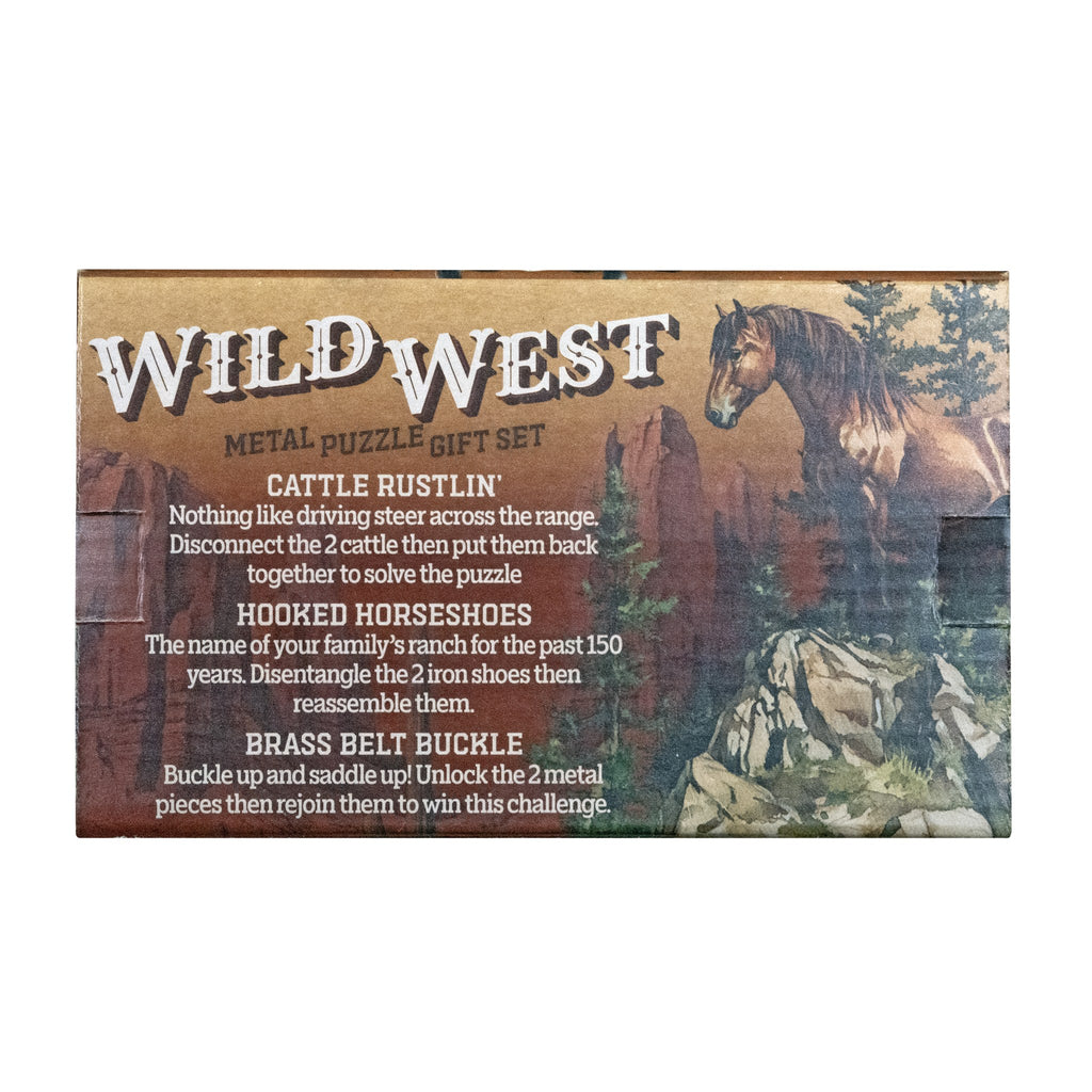 Wild West metal puzzle gift set - back of package