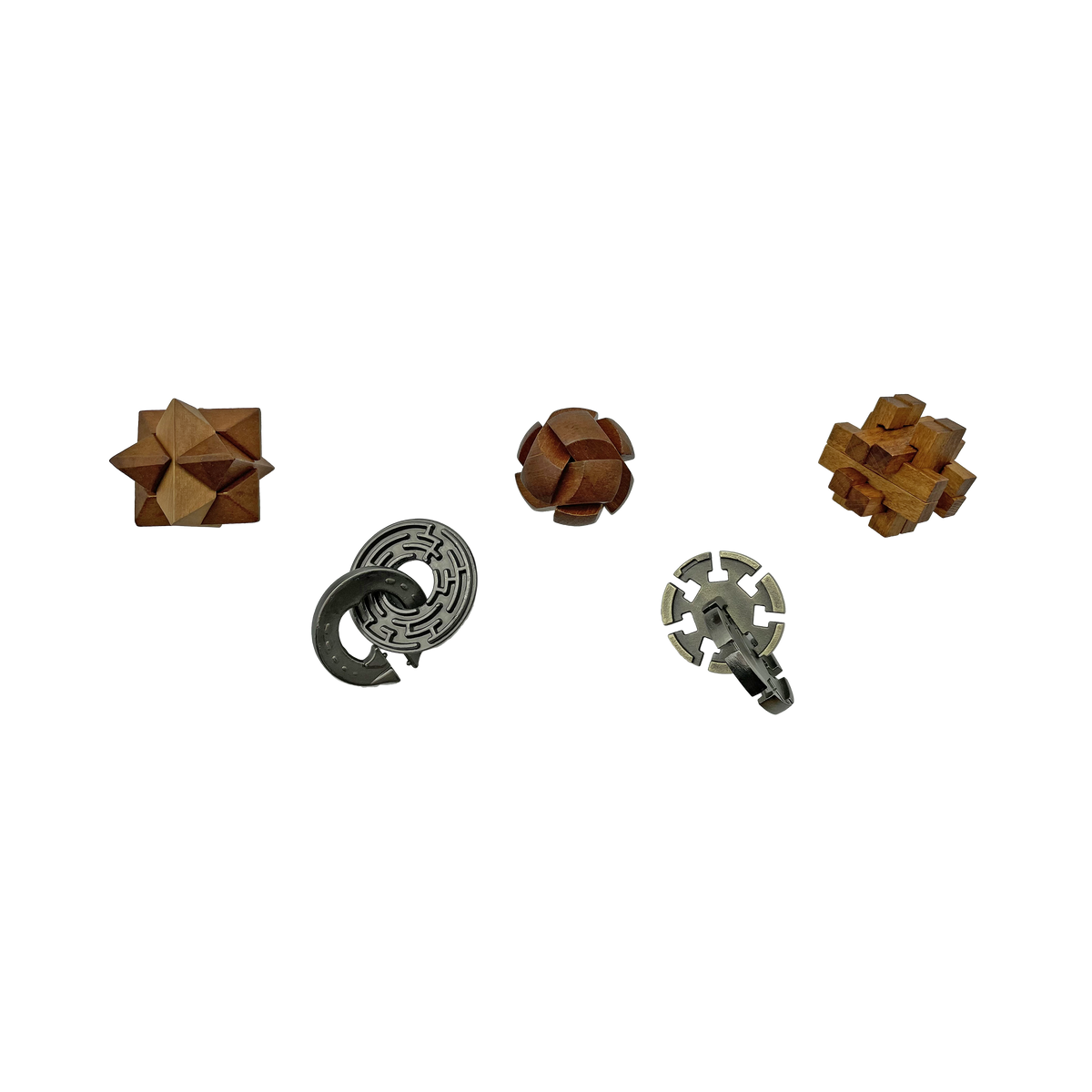 Project Genius Project Genius: Lost Treasure Collection - Metal and Wood Brainteaser ...