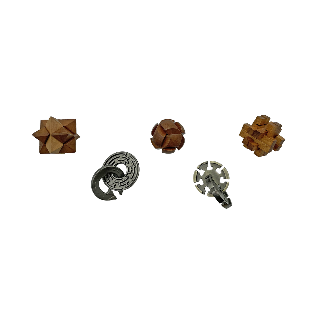 Lost Treasure Collection - 5-Pack of Brainteasers