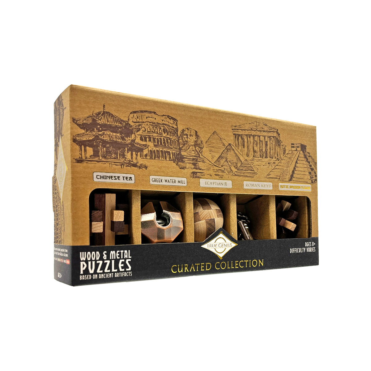 Project Genius Curated Collection 5-Pack Puzzles | Project Genius
